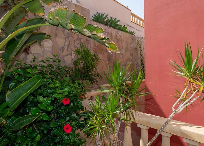 V8 Калета-де-Фусте