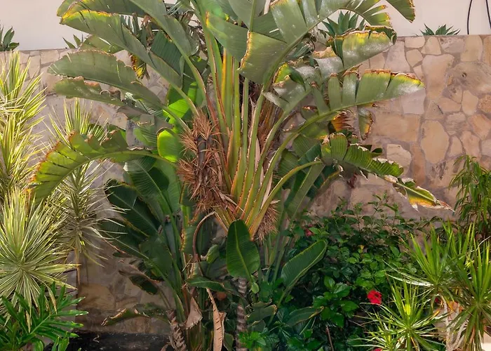 Вилла V8 Калета-де-Фусте